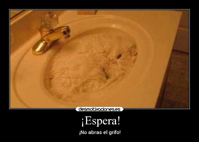 ¡Espera! -