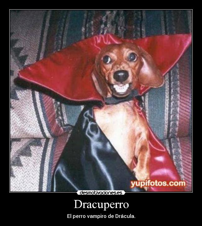 Dracuperro - El perro vampiro de Drácula.