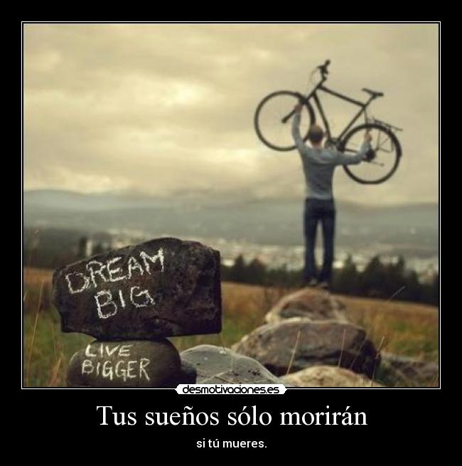 carteles follow your dreams twitter forever penguin desmotivaciones