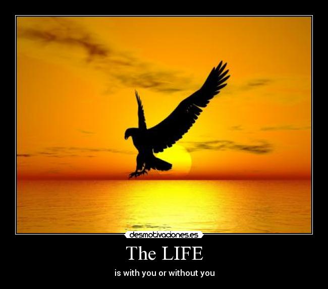 The LIFE - is with you or without you