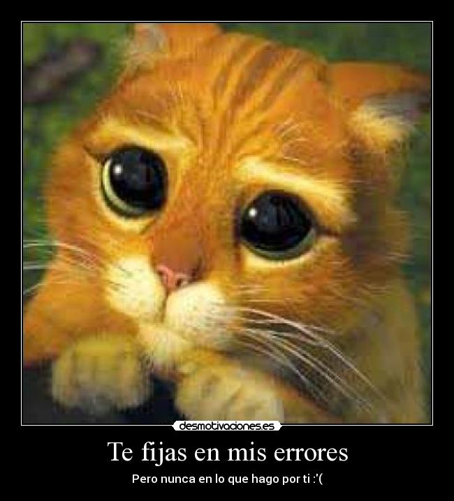 Te fijas en mis errores -