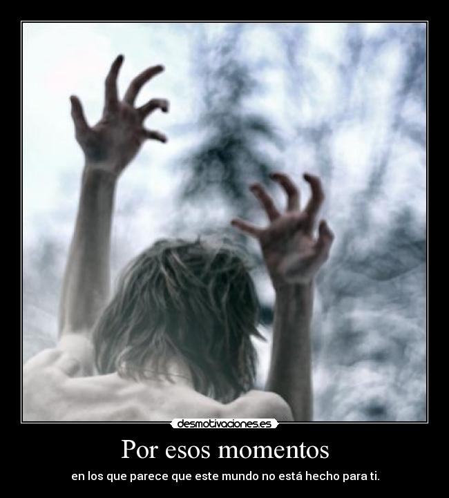 carteles drack desmotivaciones