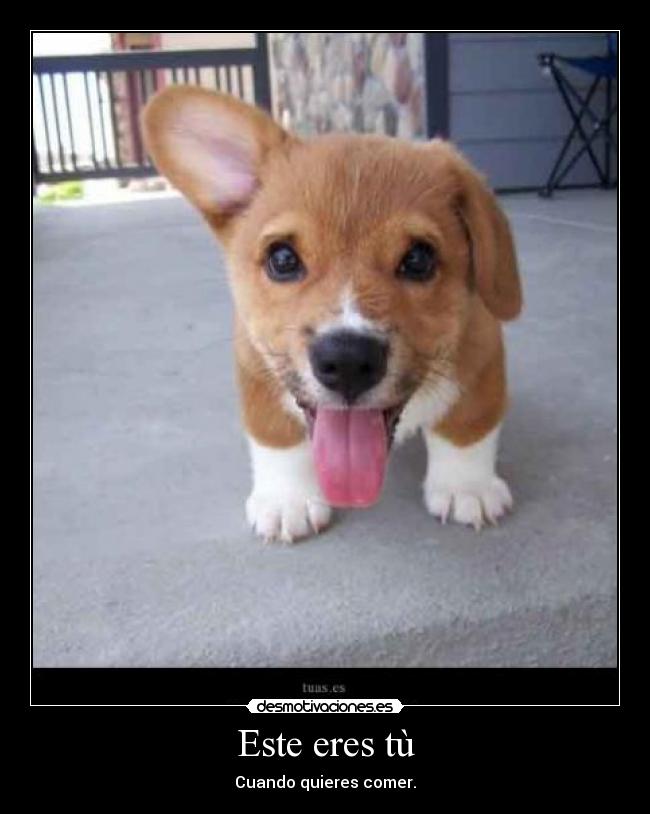 Este eres tù - Cuando quieres comer.