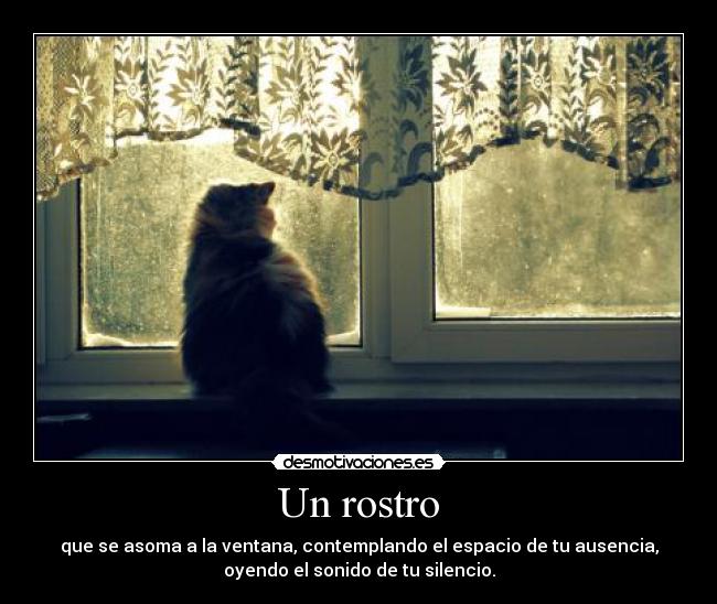 carteles lrc1894 esperando ausencia silencio gracias por visitar este cartel desmotivaciones