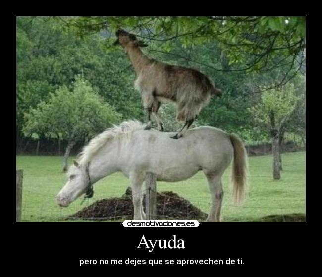 Ayuda - pero no me dejes que se aprovechen de ti.