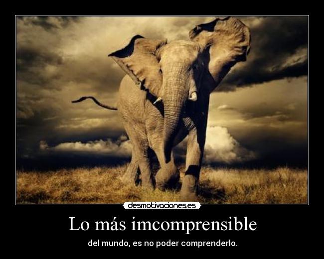 Lo más imcomprensible -