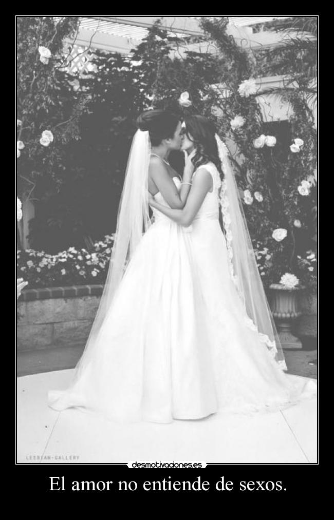 El amor no entiende de sexos. -