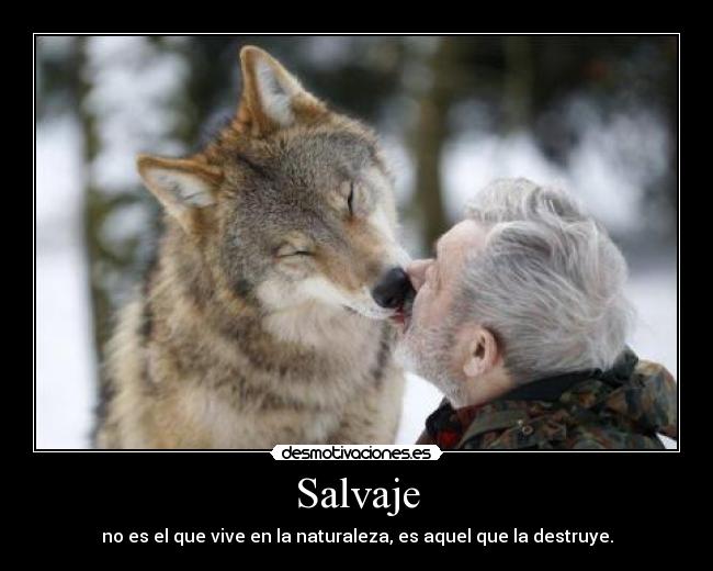 Salvaje -