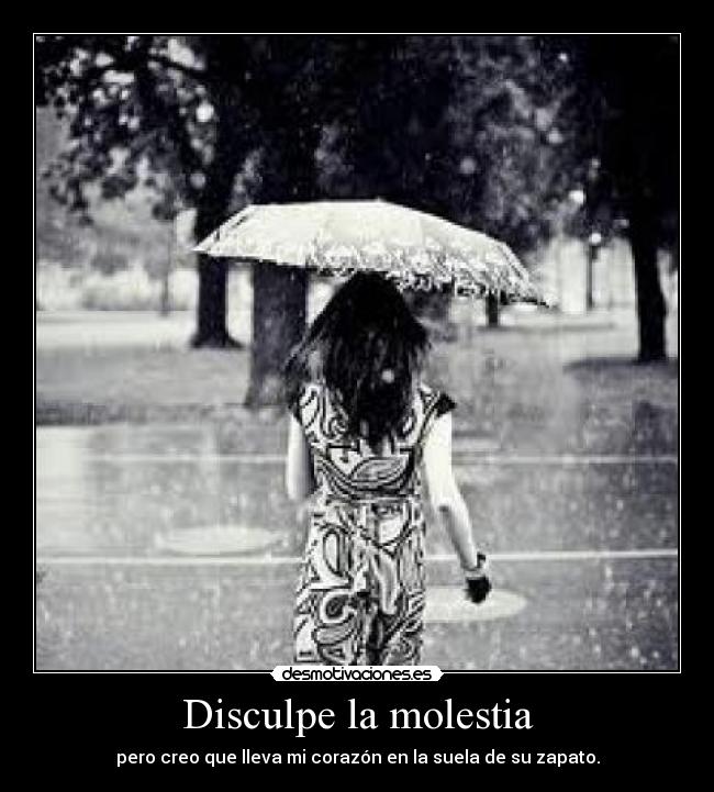 Disculpe la molestia - 