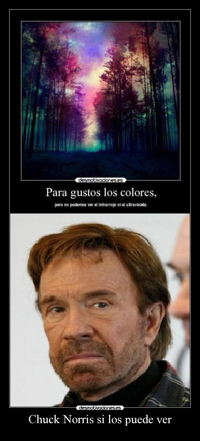 Chuck Norris si los puede ver - 