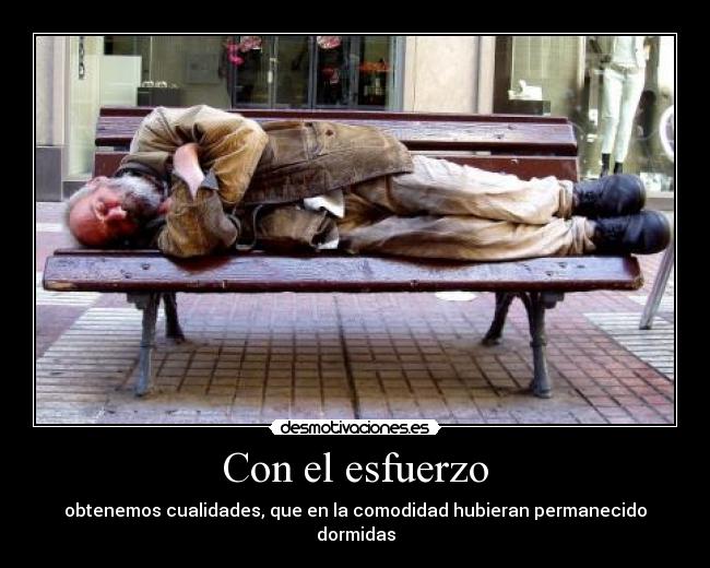 Con el esfuerzo - obtenemos cualidades, que en la comodidad hubieran permanecido dormidas