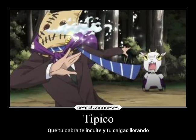 Tipico -