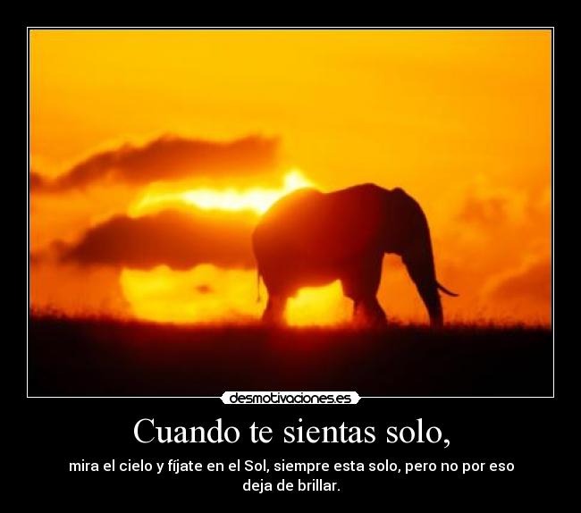 Cuando te sientas solo, - mira el cielo y fíjate en el Sol, siempre esta solo, pero no por eso deja de brillar.