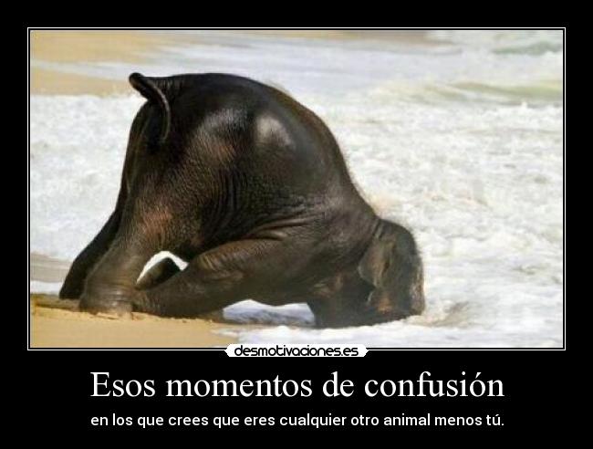 Esos momentos de confusión - 