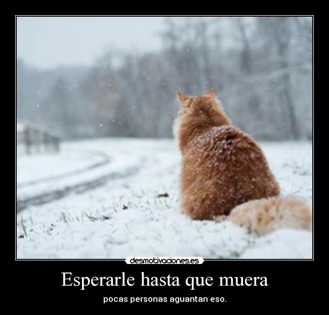 Esperarle hasta que muera - pocas personas aguantan eso.