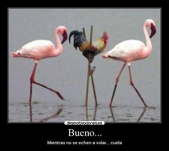 Bueno... - Mientras no se echen a volar... cuela