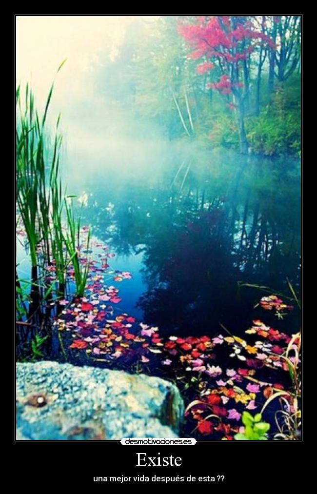 Existe - una mejor vida después de esta ??