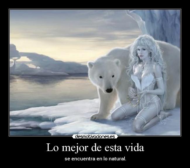 carteles vida mejor esta vida desmotivaciones