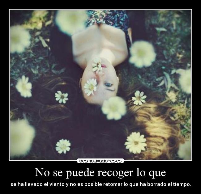 No se puede recoger lo que -