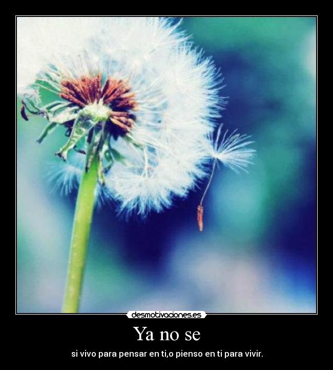 Ya no se - 