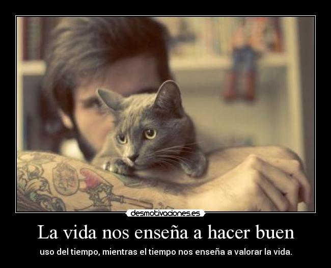 La vida nos enseña a hacer buen -