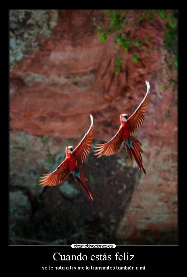 Cuando estás feliz -
