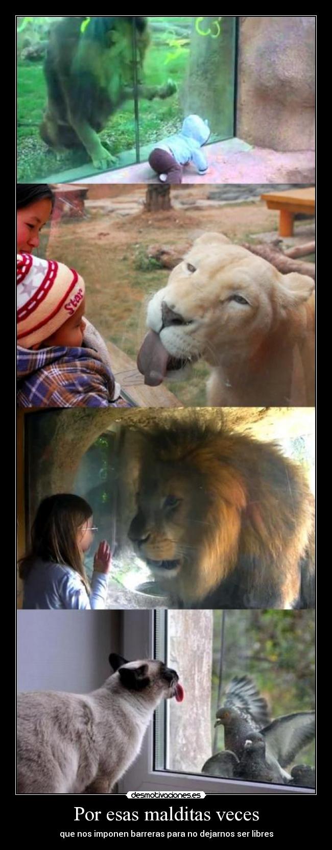 Por esas malditas veces - 