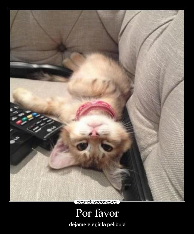 carteles gatospelicula desmotivaciones