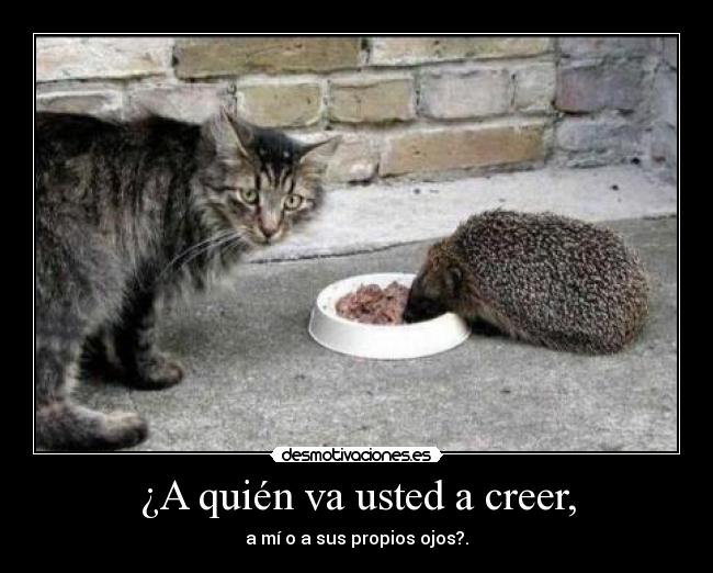 ¿A quién va usted a creer, - a mí o a sus propios ojos?.