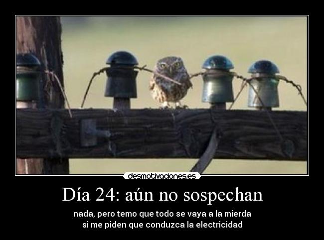 Día 24: aún no sospechan - 