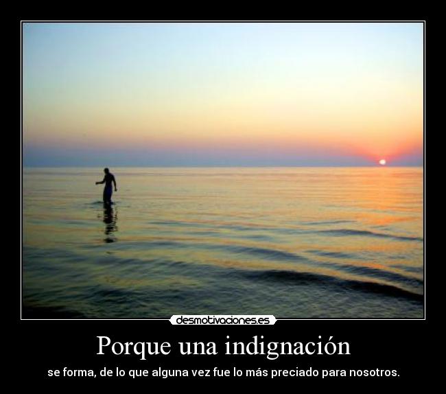 carteles poco sarcasmo voy por pesca las amazonas desmotivaciones