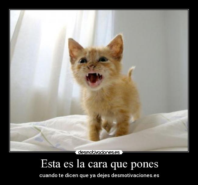 Esta es la cara que pones -