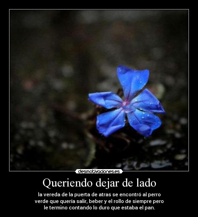 Queriendo dejar de lado -