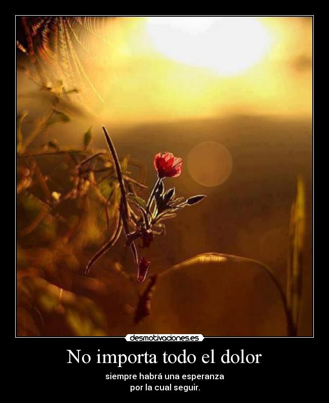 No importa todo el dolor -
