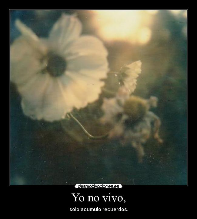Yo no vivo, - 
