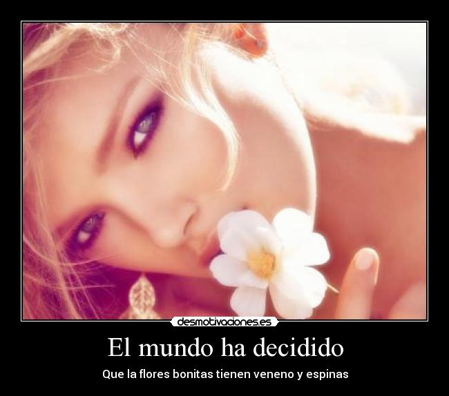 El mundo ha decidido -