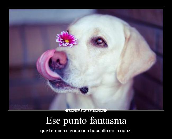 Ese punto fantasma -