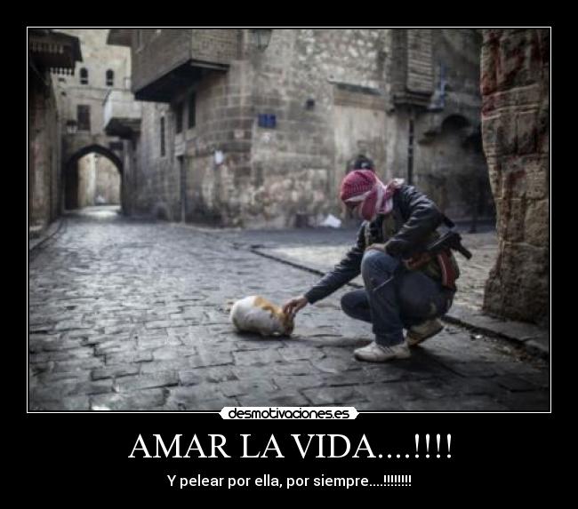 AMAR LA VIDA....!!!! - Y pelear por ella, por siempre....!!!!!!!!