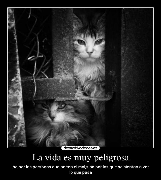 La vida es muy peligrosa - no por las personas que hacen el mal,sino por las que se sientan a ver lo que pasa