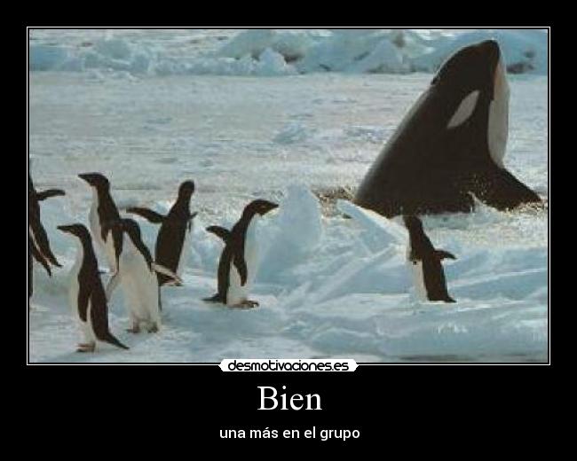 Bien -