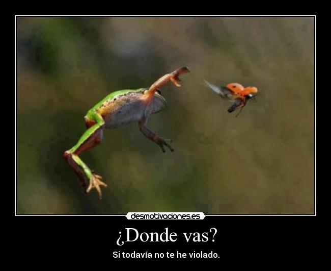 ¿Donde vas? - 