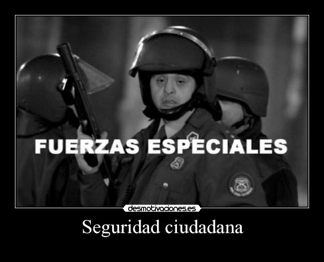Seguridad ciudadana -
