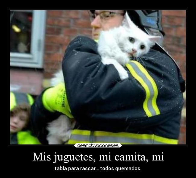 Mis juguetes, mi camita, mi -