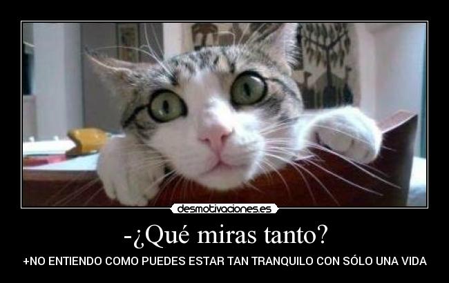 -¿Qué miras tanto? - 