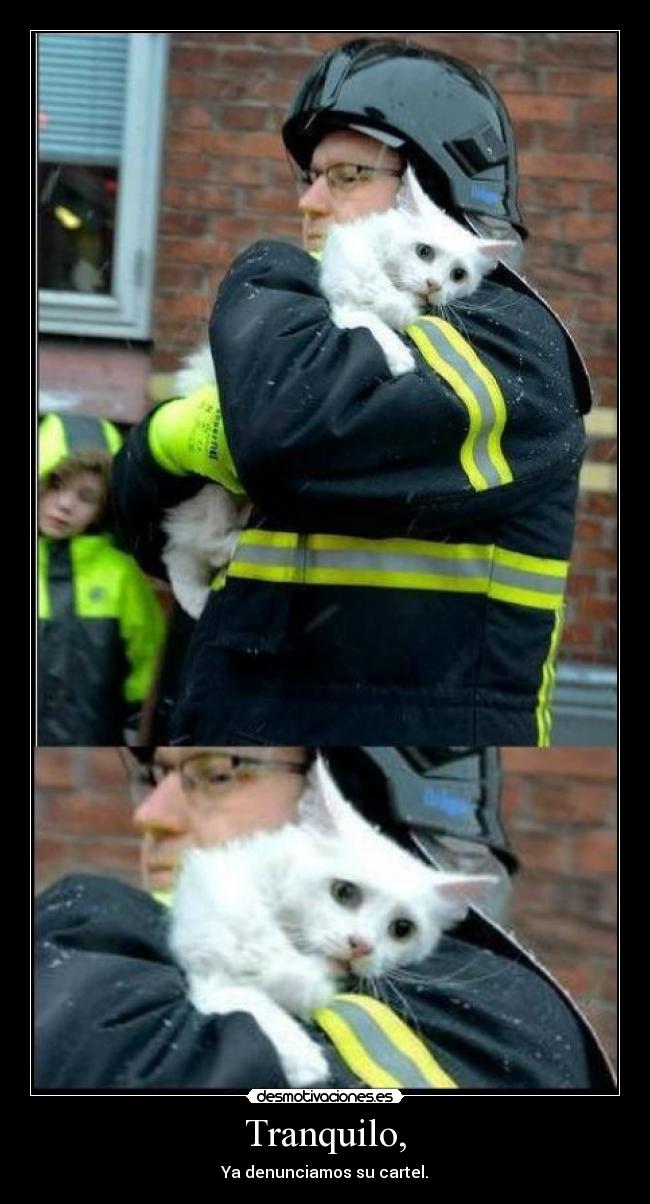 Tranquilo, - Ya denunciamos su cartel.