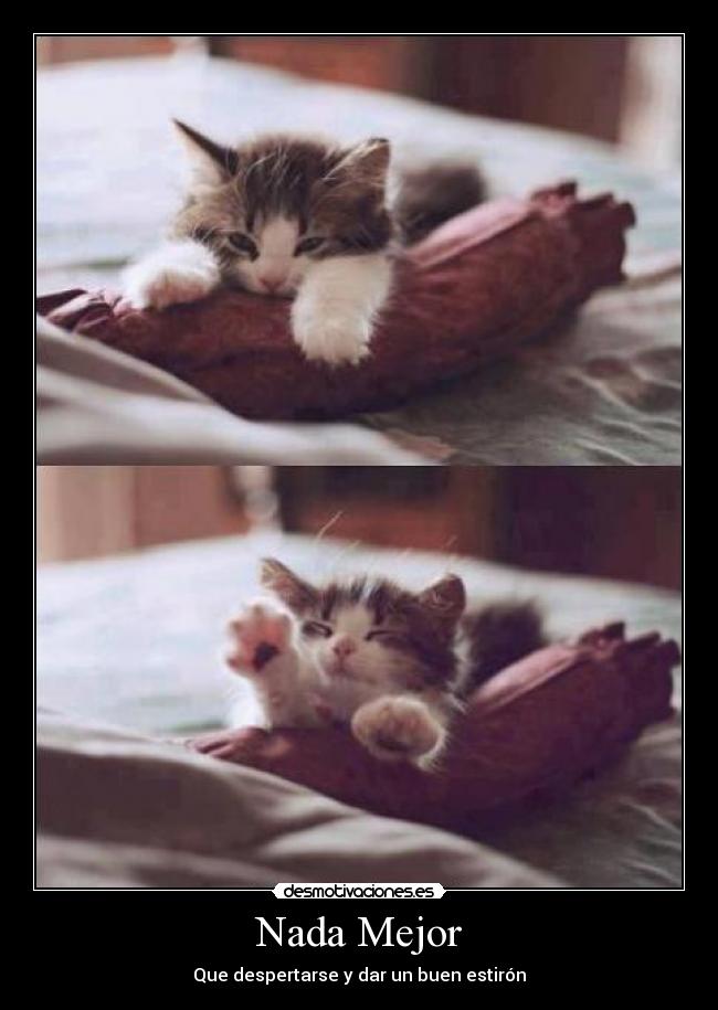 Nada Mejor - Que despertarse y dar un buen estirón