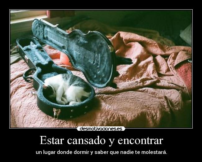 Estar cansado y encontrar - un lugar donde dormir y saber que nadie te molestará.