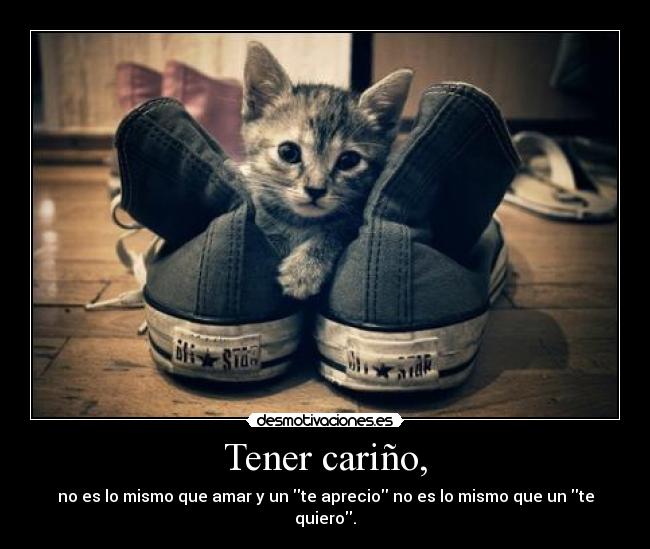 Tener cariño, -