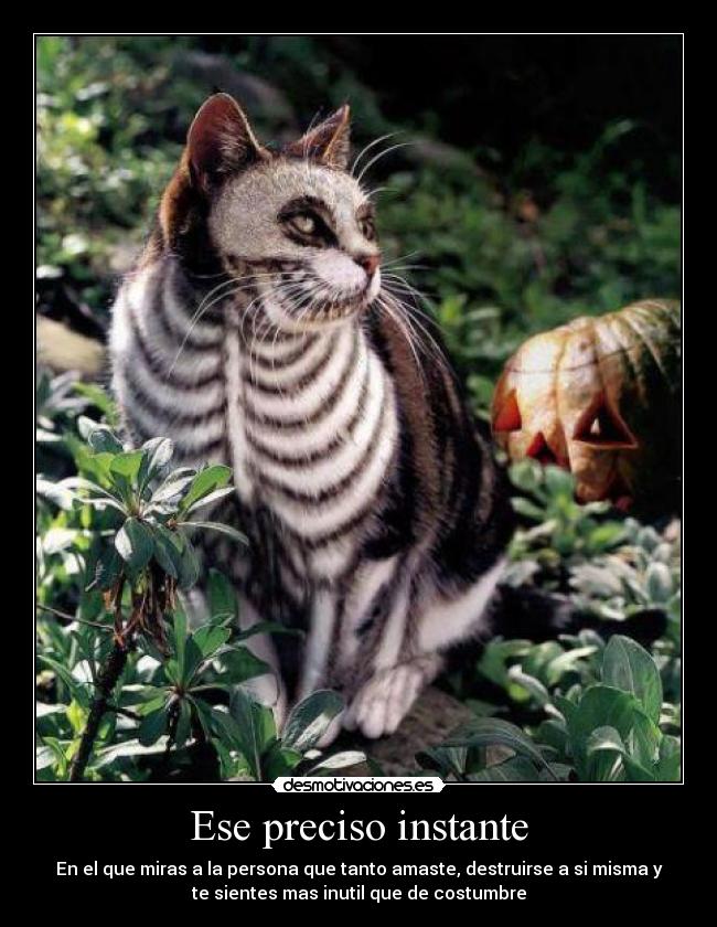Ese preciso instante -