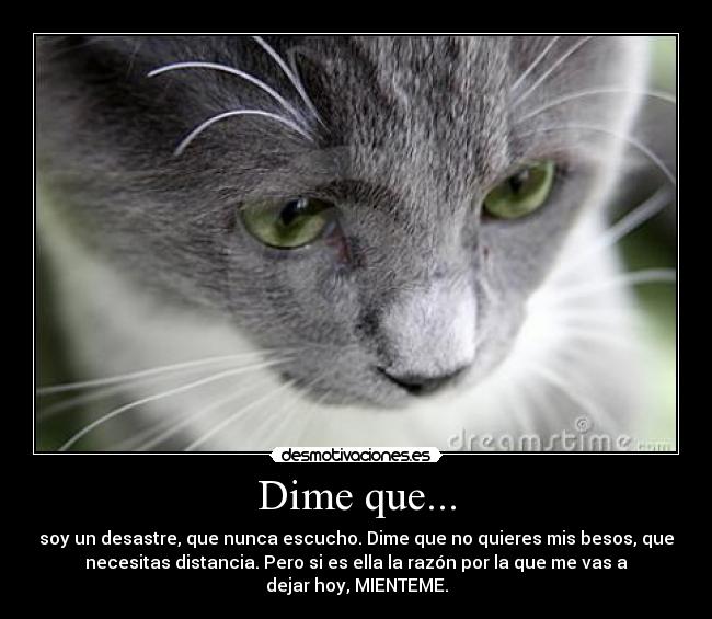 Dime que... - soy un desastre, que nunca escucho. Dime que no quieres mis besos, que
necesitas distancia. Pero si es ella la razón por la que me vas a
dejar hoy, MIENTEME.
